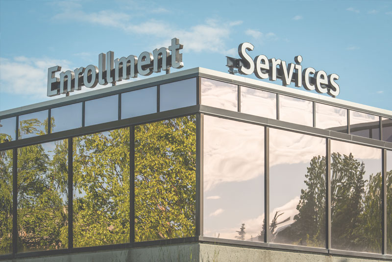 bingo plus rewards login