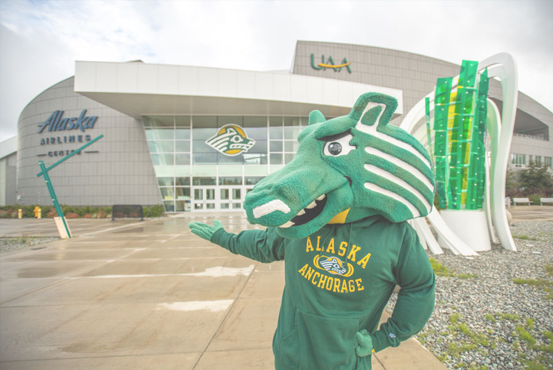 bingo plus net rewards login