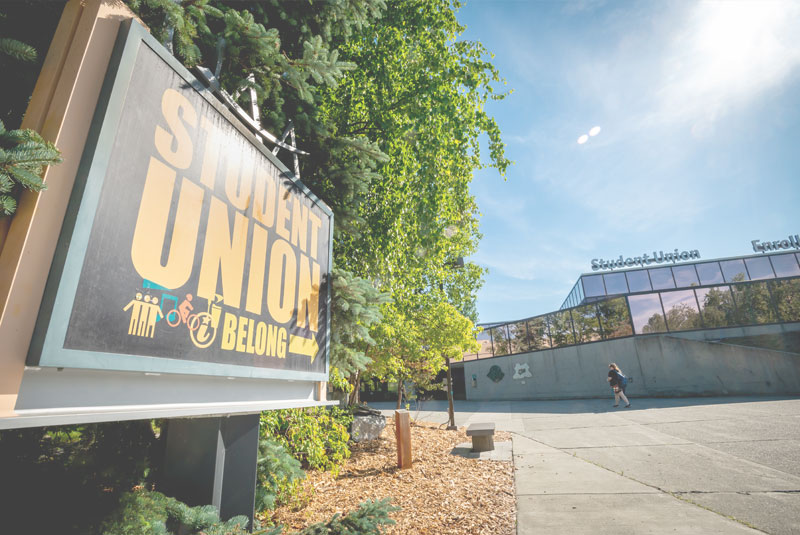 bingo plus rewards login