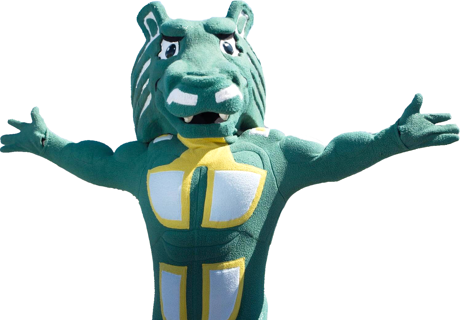 bingo plus net rewards login