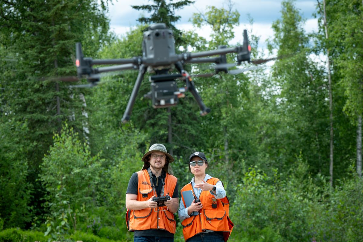 bingo plus net rewards login